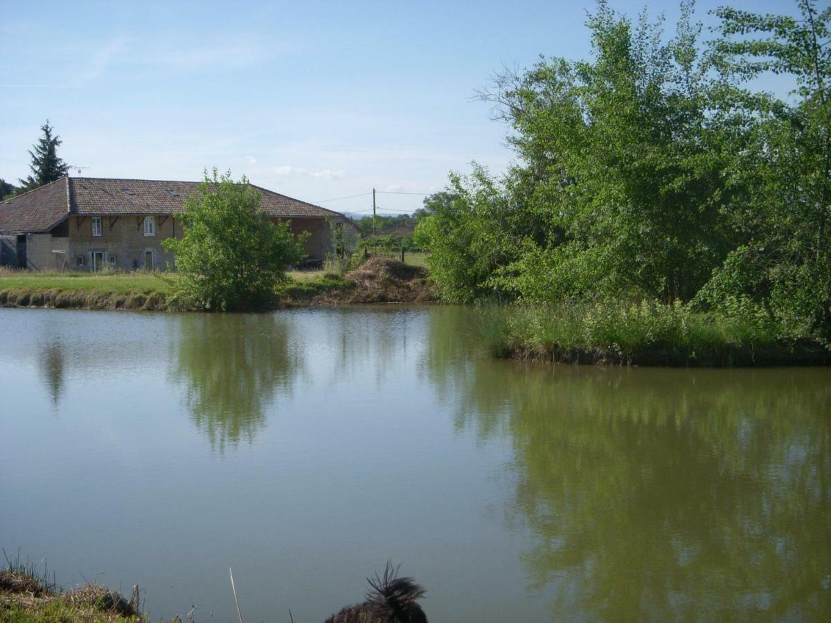 Gites Domaine De La Rochere Domsure Exterior photo